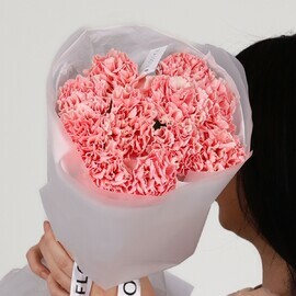 Kruglij monobuket iz rozovih diantusov