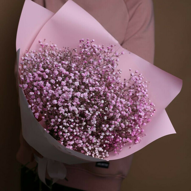 Bouquet of 5 pink gypsophilas, standart