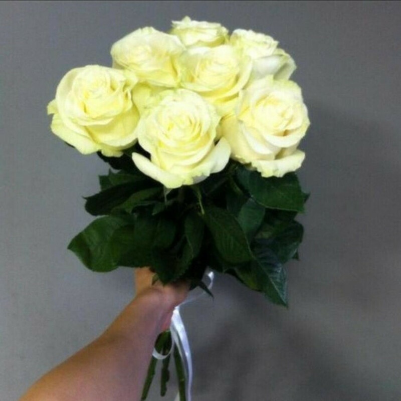 Букет из 7 белых роз, стандартный