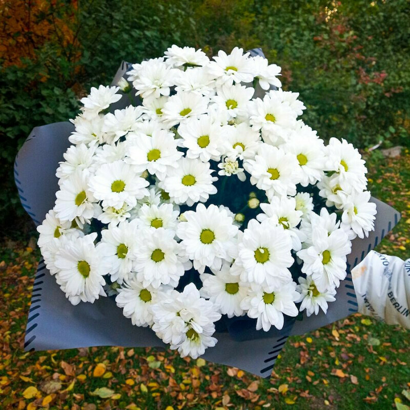 Bouquet "Blooming Field", standart