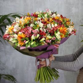 Bouquet of 101 alstroemeria mix