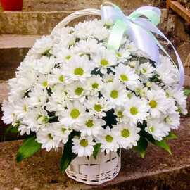 Корзина с хризантемой