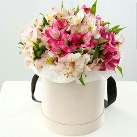 Альстромерия в Коробке "Нежная мелодия"