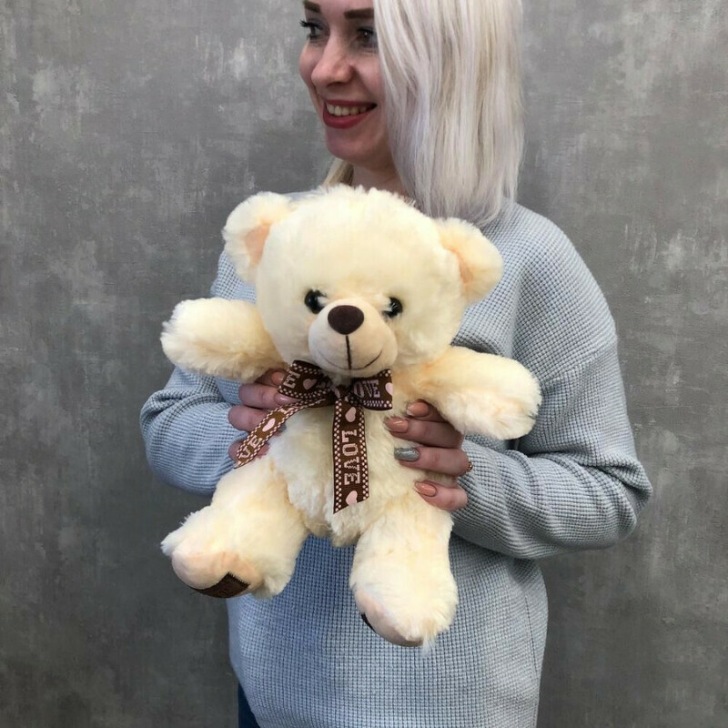 Teddy bear plush soft toy gift mini, standart