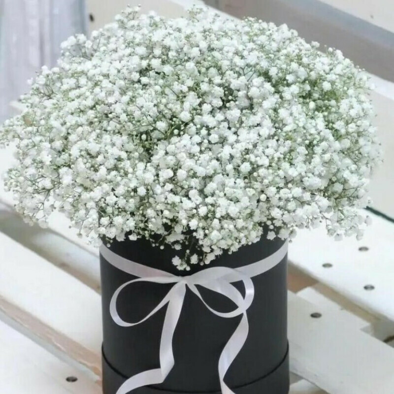 Hat box with white gypsophila, standart