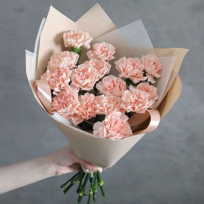 Mono-bouquet of peach dianthus Hill, standart