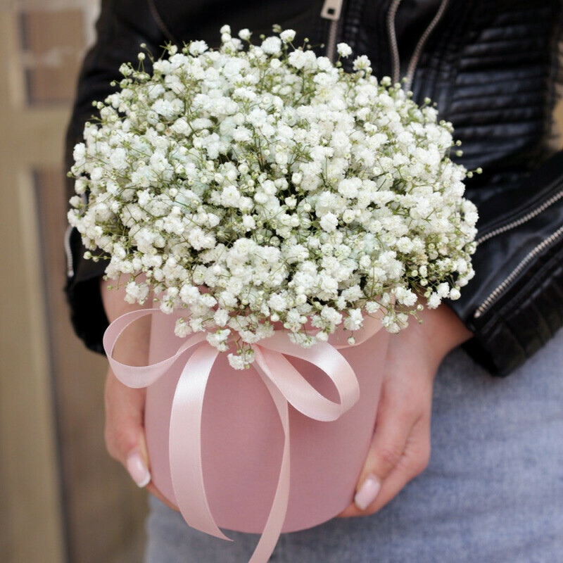 Гипсофила белая в коробке, стандартный