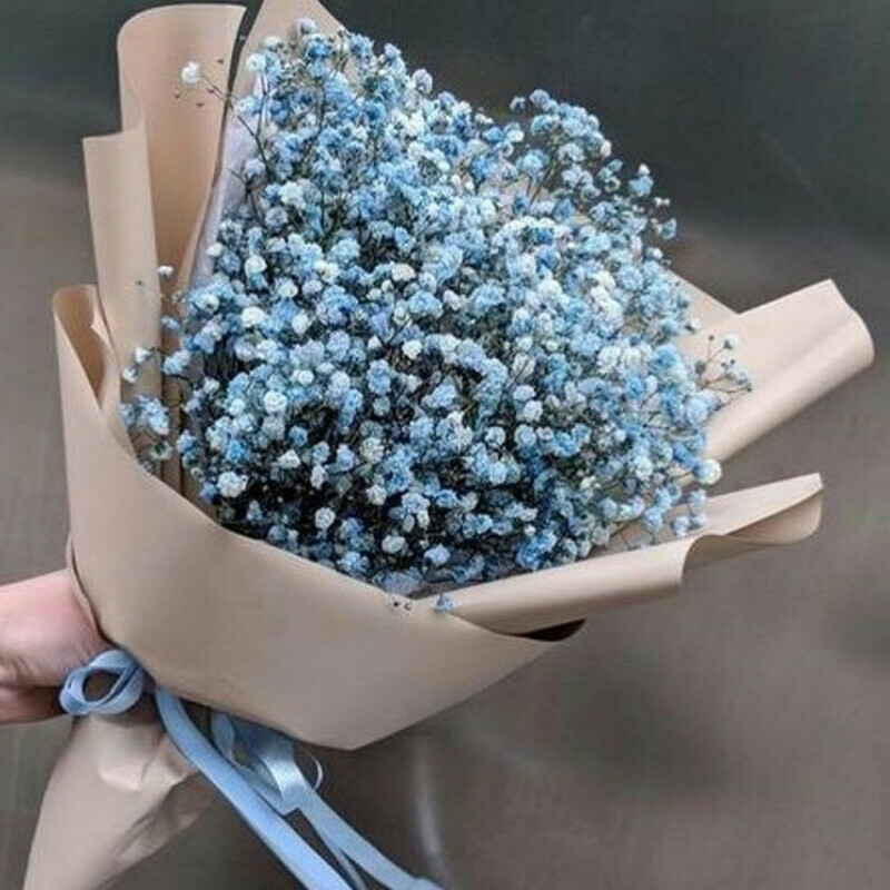 Bouquet of 5 branches of blue gypsophila, standart