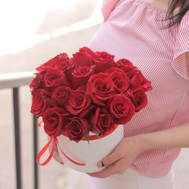 Stylish classics, standart