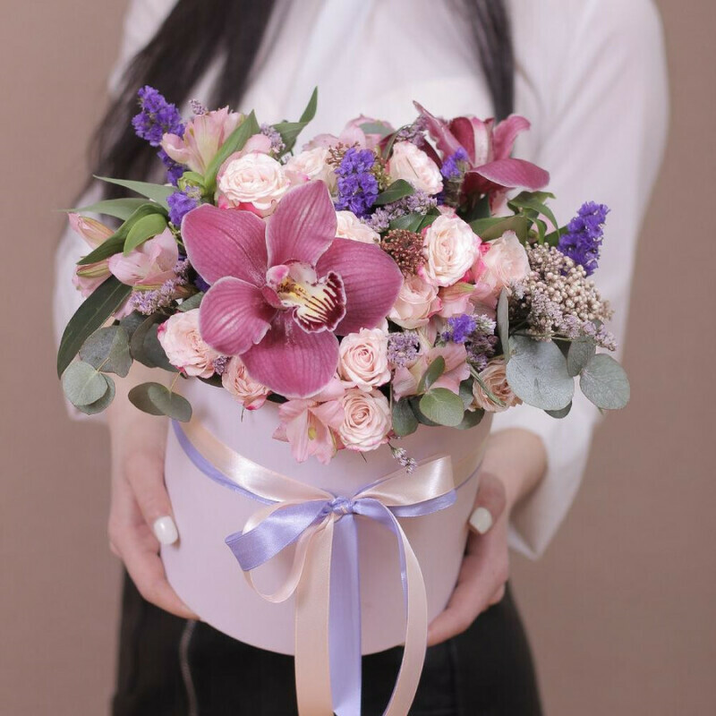 Box Elegance, standart