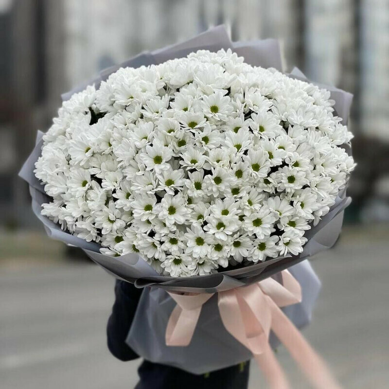 Huge bouquet of white chrysanthemum Florence, standart