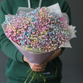 Bouquet of rainbow gypsophila