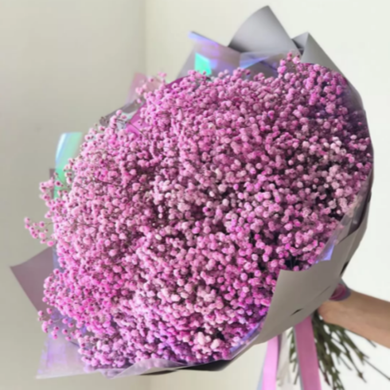 Bouquet of lilac hypsophilia, standart