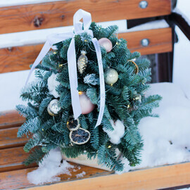 Елка из нобилиса с елочными игрушками