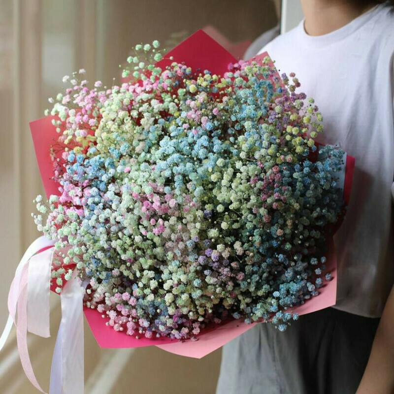 Bouquet of 15 branches of rainbow gypsophila, standart