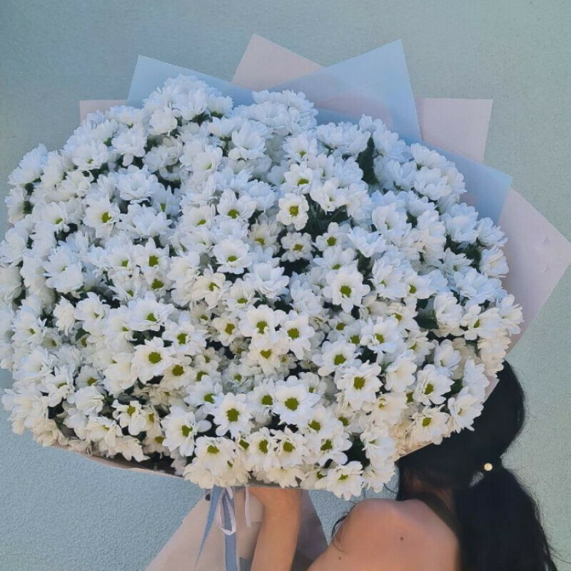 Romashkovoe chudo, standart