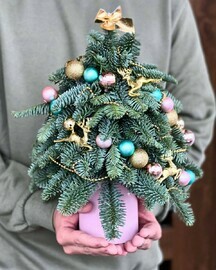 YOlochka "Severnoe siyanie"