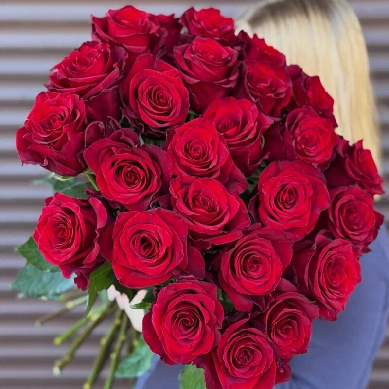 Buket 25 Krasnih roz, standart