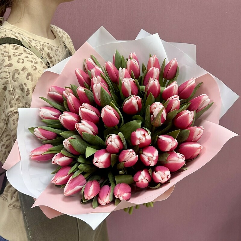 51 крупный бело-розовый тюльпан, стандартный