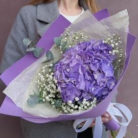 Туманность Андромеды (гортензия с гипсофилой)