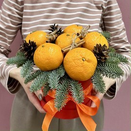Ёлка и мандарины (композиция с нобилисом)