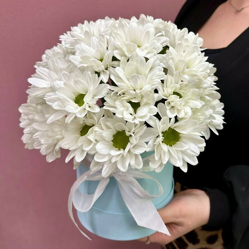 Ромашки в коробочке, стандартный