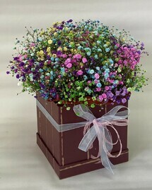 Коробка с радужной гипсофилой (Коробка 24)