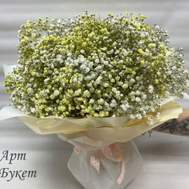 Букет из 9 радужных гипсофил (Букет 15)