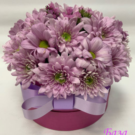 Коробка с розовыми кустовыми хризантемами (Коробка 12)