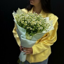 Bouquet of 11 daisies (code 485)