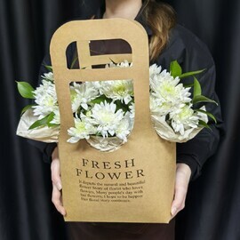 Хризантема кустовая в сумочке (код 423)