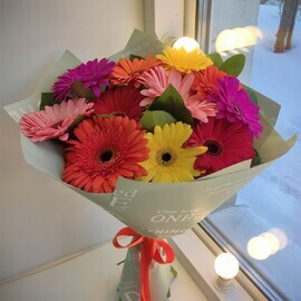 Buket iz 11 gerber (kod 201)