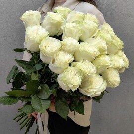 Букет их 25 белых роз (код 98)