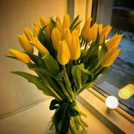 Tyul_pani 25 sht (kod 119)