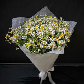 Bouquet of 15 daisies (matricaria) in a package (code 25)