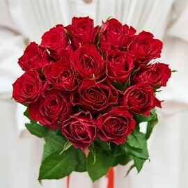 15 Kenijskih Krasnih Roz 50 sm