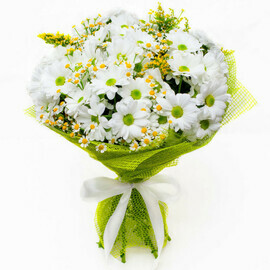 Bouquet "Chamomile field"