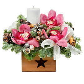 Зимняя Орхидея