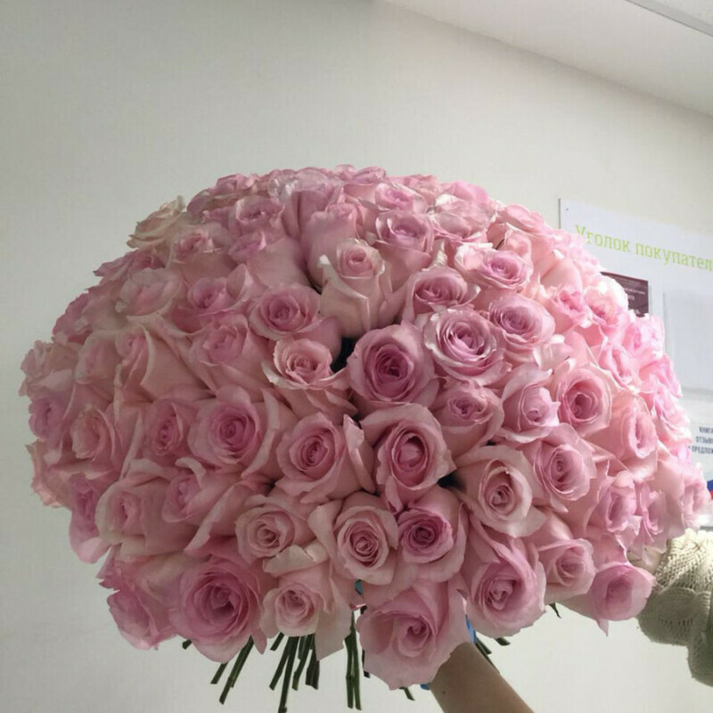 Розовое облоко, стандартный