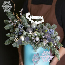 Серебро Зимы