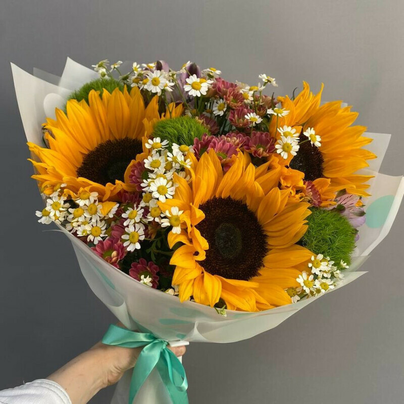 Солнечное утро, стандартный