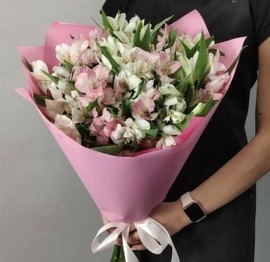 Альтромерии  