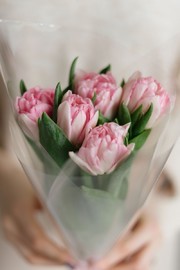 Розовые пионовидные тюльпаны в прозрачной упаковке
