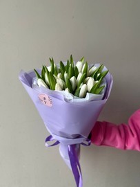 21 белый тюльпан FT1225