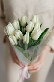 Белоснежные тюльпаны в прозрачной упаковке