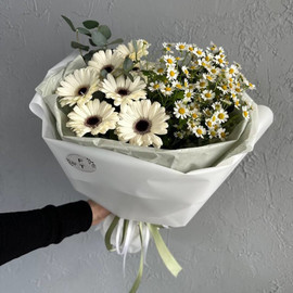 Белоснежный с гермини и ромашкой FT229