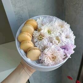 hrizantema s makarunsami