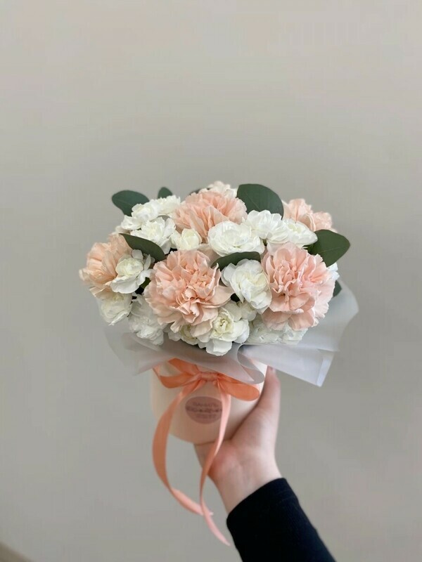 Диантусы, стандартный