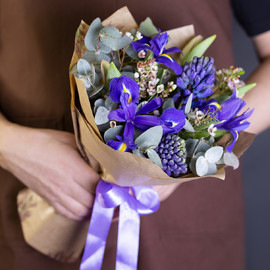 Крылья Ветра