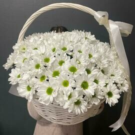 Корзина хризантем